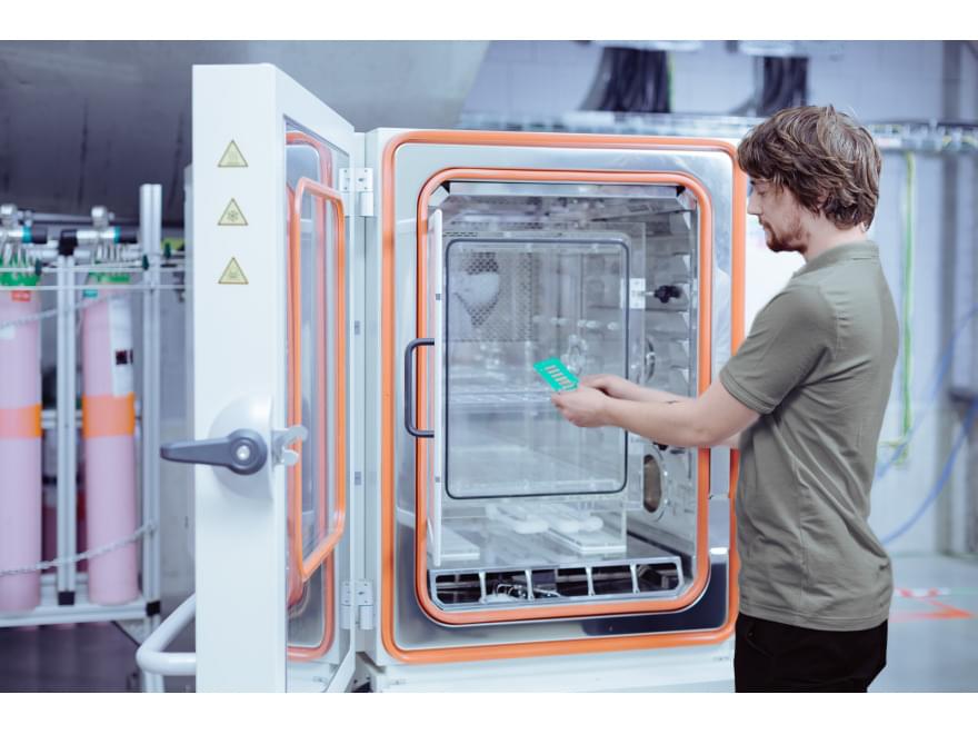 Die untersuchte Probe bei der MFG-Prüfung im TIYO-Labor Die untersuchte Probe bei der MFG-Prüfung im TIYO-Labor